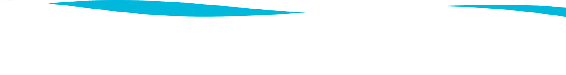 slider shape